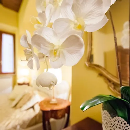 Apartament Impero Vaticano Navona *